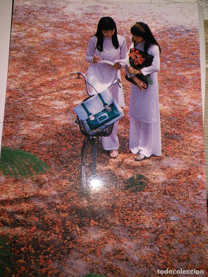 Postales: Antigua postal .original de vietnam - Foto 1