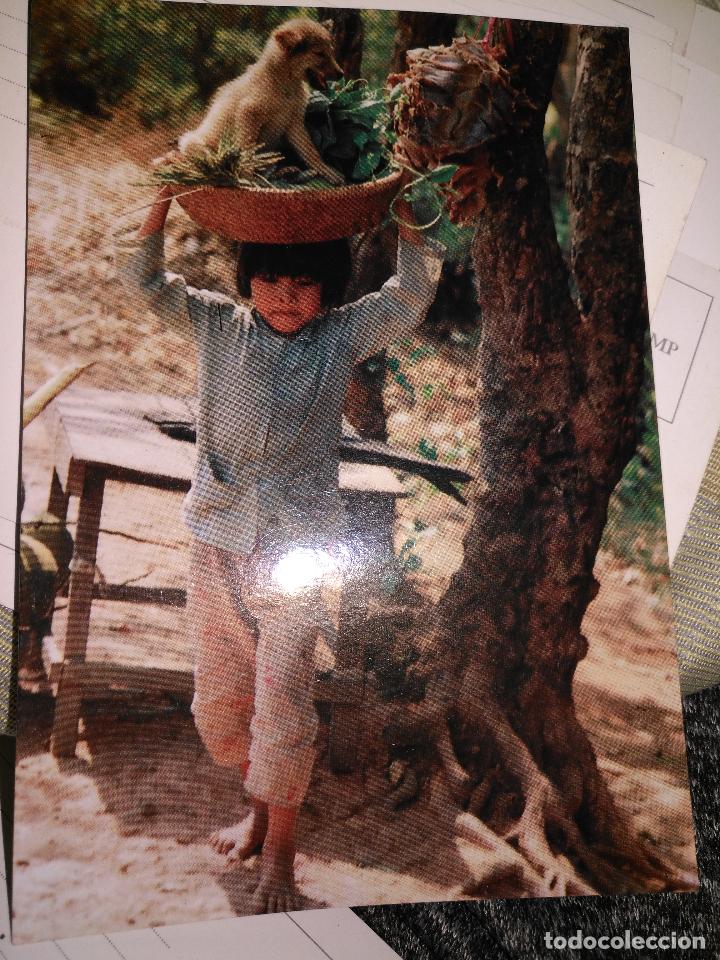 Postales: Antigua postal .original de vietnam - Foto 1