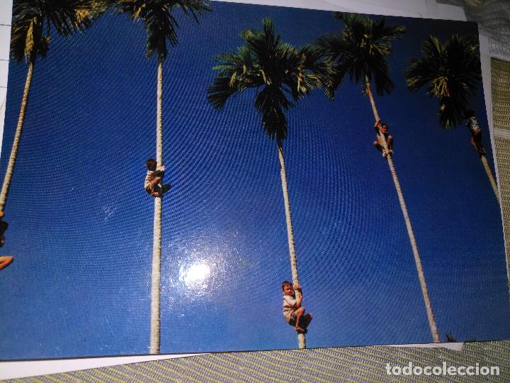 Postales: Antigua postal .original de vietnam - Foto 1