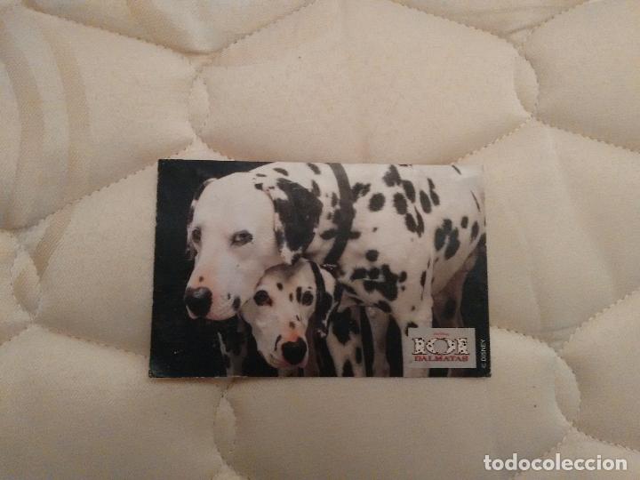 Postales: POSTAL PEL&Iacute;CULA 101 D&Aacute;LMATAS DISNEY - Foto 1