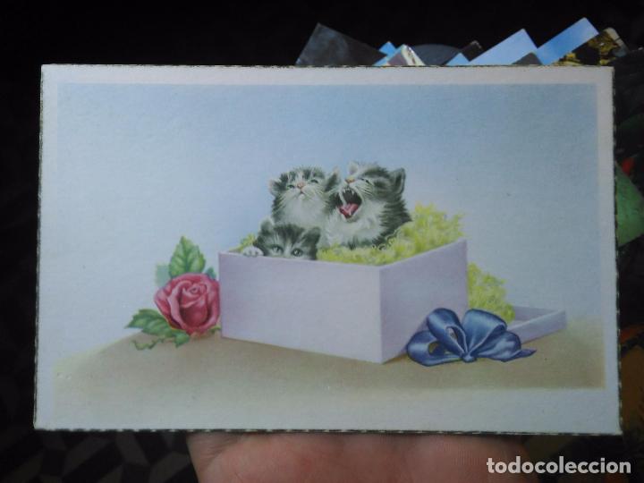 Postkarten: POSTAL - GATOS Y FLORES
