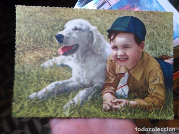 Postales: POSTAL - PERRO - Foto 1