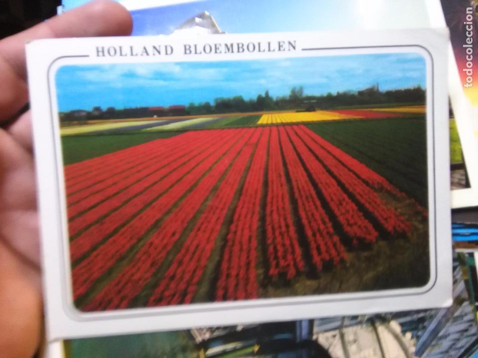 Postkarten: postal - holanda