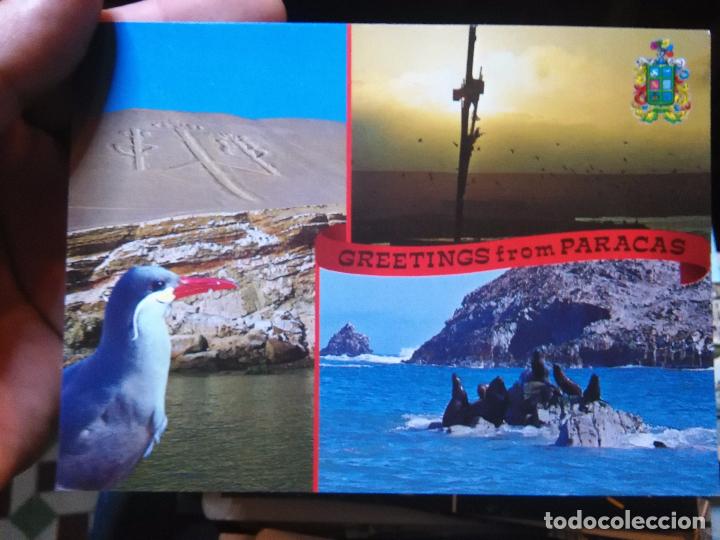 Postales: postal - ica peru parque nacional de paracas - Foto 1