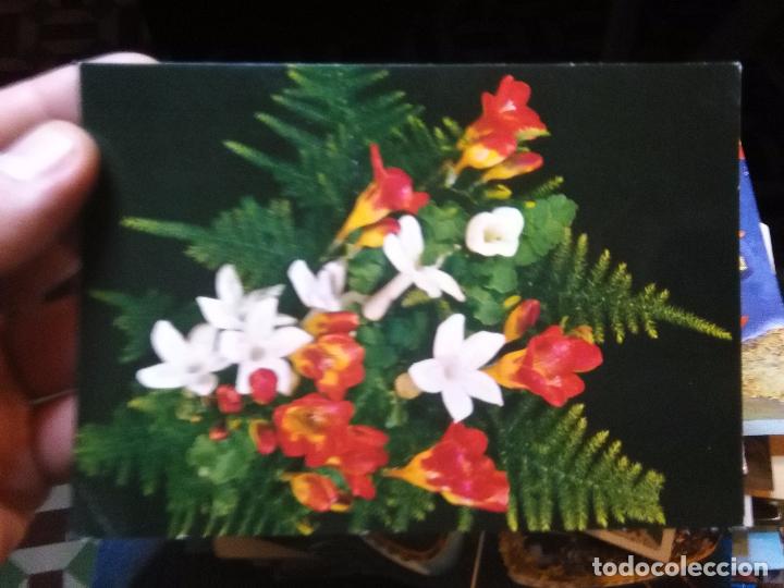 Postkarten: postal - flores floral