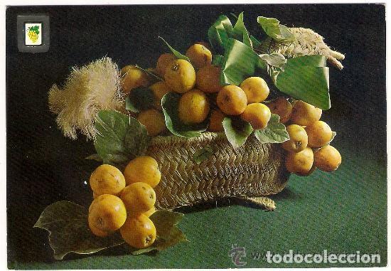 Postales: -45752 POSTAL BODEGON DE FRUTAS, ESCUDO DE ORO, SERIE FRUTOS N&ordm; 138, SIN CIRCULAR