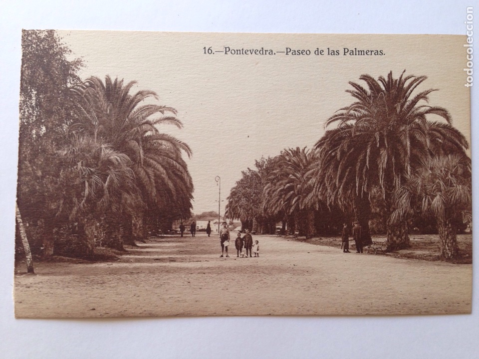 Postales: Pontevedra heliotipia paseo de las palmeras - Foto 2