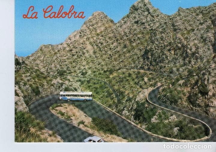 Postales: POSTAL MALLORCA - LA CALOBRA - Foto 1