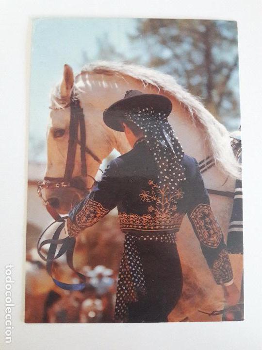 Postcards: hln-oferta por lotes- postal- real escuela andaluza de arte ecuestre, caballos
