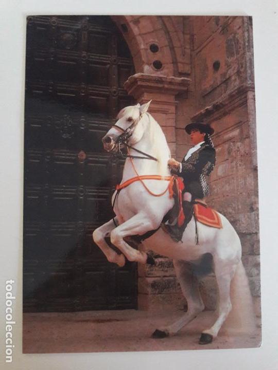 Postkarten: hln-oferta por lotes- postal- real escuela andaluza de arte ecuestre, caballos
