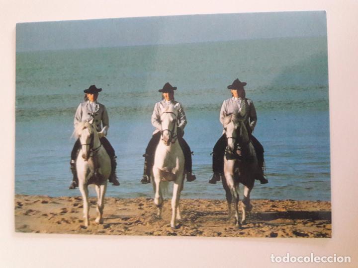 Cartoline: hln-oferta por lotes- postal- real escuela andaluza de arte ecuestre, caballos