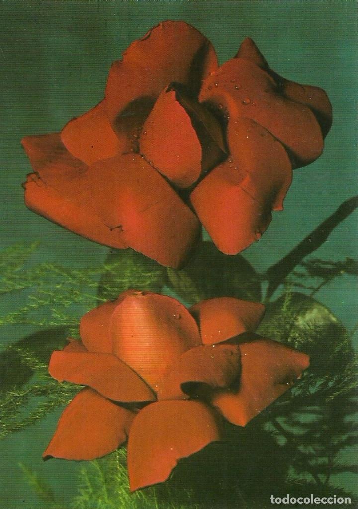 Postales: POSTAL COLECCION PERLA - Foto 1