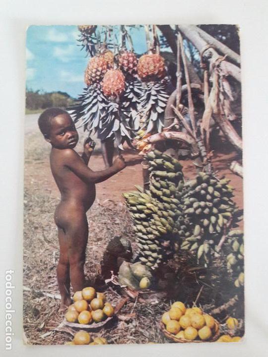 Postkarten: hln-oferta por lote- postal- Africa en colores, ni&ntilde;o, fruta