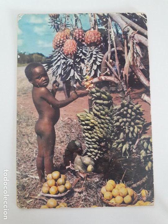 Postkarten: hln-oferta por lote- postal- Africa en colores, ni&ntilde;o, fruta