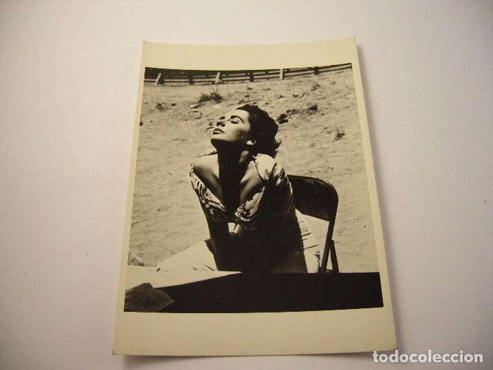 Postales: POSTAL ELIZABETH TAYLOS 1955 - Foto 1
