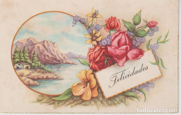 Postcards: POSTAL PAISAJE CON FLORES. FELICIDADES .. ED. C Y Z 506/A