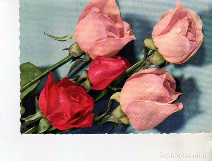 Postales: POSTAL DE ROSAS - Foto 1