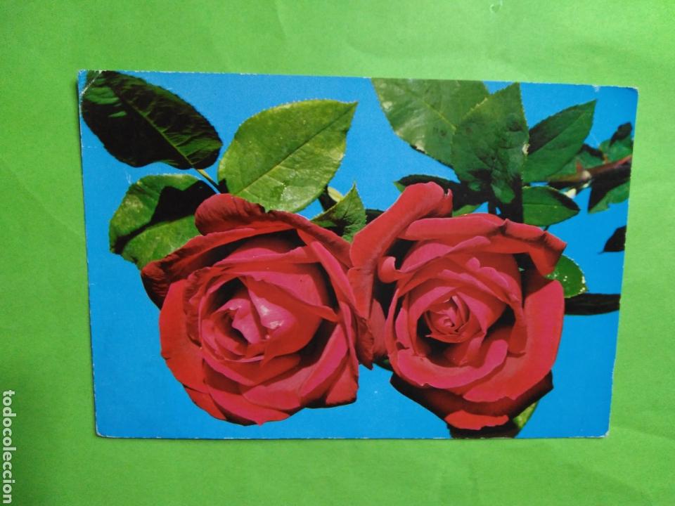 Postales: POSTAL ROSAS 1972 ESCRITA - Foto 1