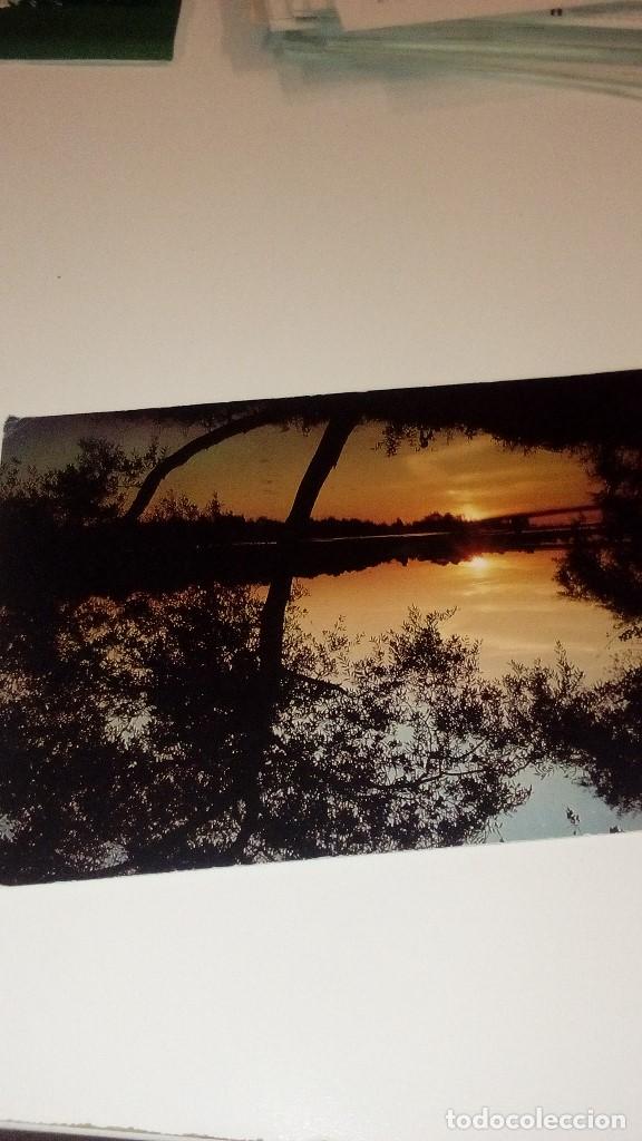 Cartoline: CAJ-B15FG POSTAL 20064 BORDS DE LOIRE