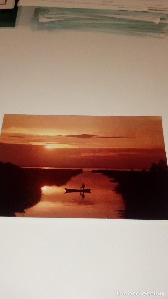 Postales: CAJ-B15FG POSTAL 557 VALENCIA ALBUFERA - Foto 1
