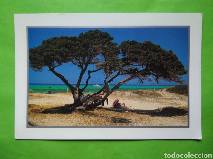 Postales: POSTAL FORMENTERA - Foto 1