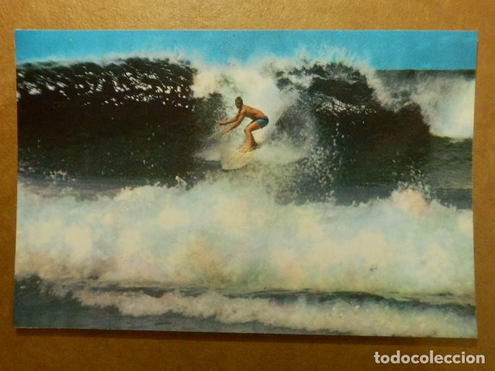 Postales: Postal - Tem&aacute;tica - Surf - Olas - AT A QUEENSLAND SURFING BEACH - Foto 1