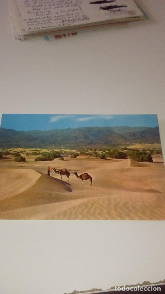 Postales: C-270318 POSTAL 1055 GRAN CANARIA - Foto 1