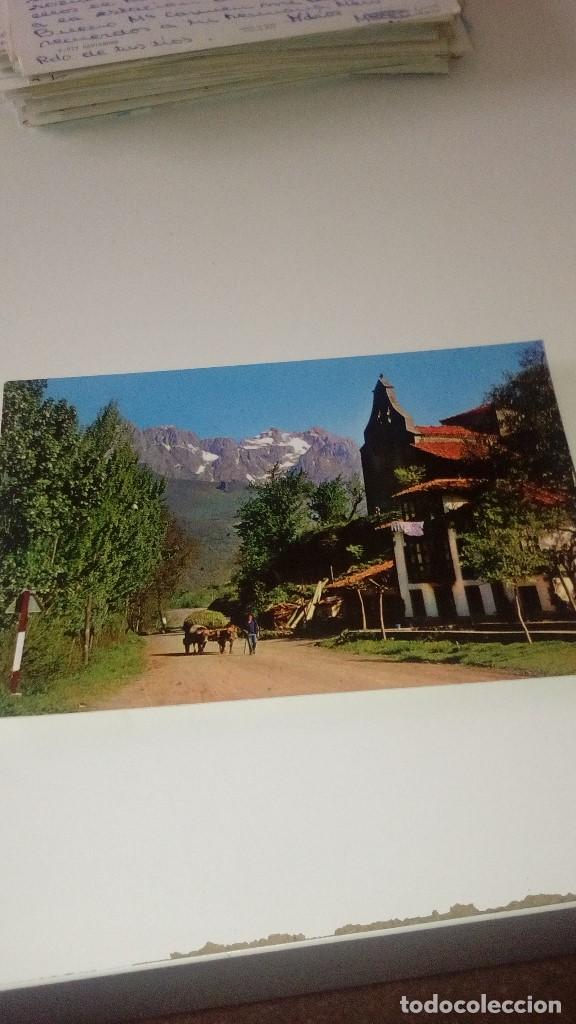 Cartes Postales: C-270318 POSTAL PICOS DE EUROPA 23 ESCRITA