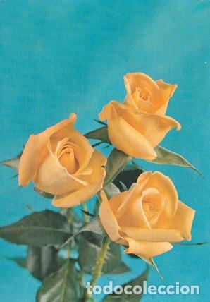 Postcards: POSTAL - FLOR - TRES ROSAS - N&ordm; 1835 / 8 - ED. D3 - ITALIA - ESCRITA Y FECHADA EN 1966 -