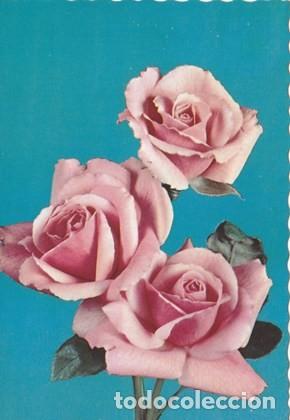 Postcards: POSTAL - FLOR - TRES ROSAS - N&ordm;  6327 - ED. C Y Z   - ESCRITA  - A&Ntilde;O 1960 -