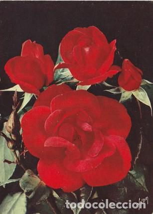 Postcards: POSTAL - FLOR - TRES ROSAS - JOLIES ROSES DE FRANCE N&ordm; 301 - ED. YVON  - FRANCIA - ESCRITA  -
