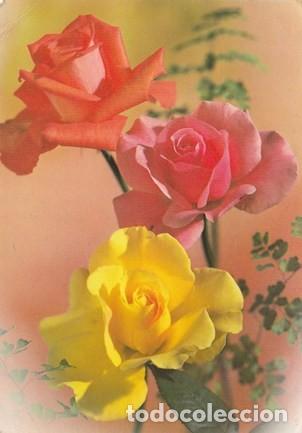 Postcards: POSTAL - FLOR - TRES ROSAS - N&ordm; 6294 / 4 - ED. SAVIR - ESCRITA - A&Ntilde;O 1979 -