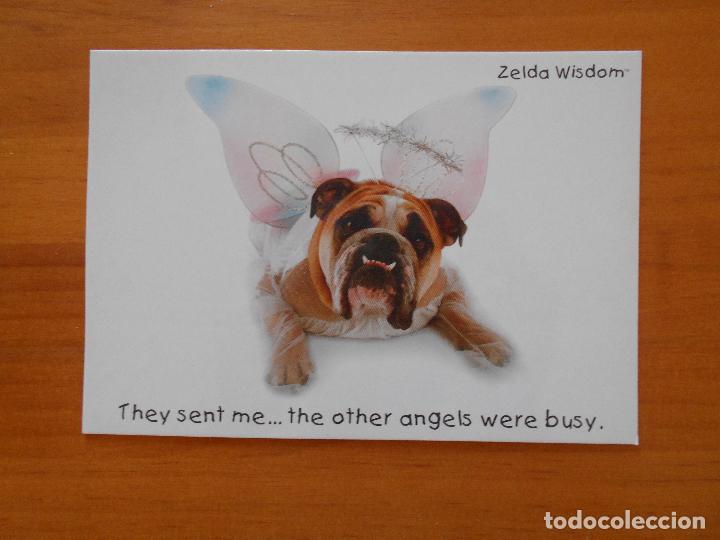 Postales: TARJETA POSTAL ZELDA WISDOM (7C) - Foto 1