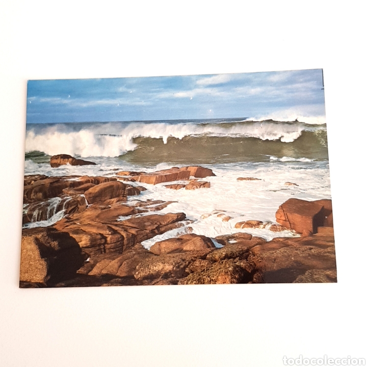Postkarten: TARJETA POSTAL NESCRITA - N&deg;3633 GALICIA , ROMPEOLAS EN LA COSTA
