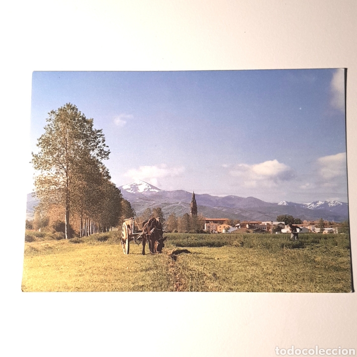 Postkarten: (PST-01) TARJETA POSTAL NESCRITA - SANTO DOMINGO DE LA CALZADA (LA RIOJA)