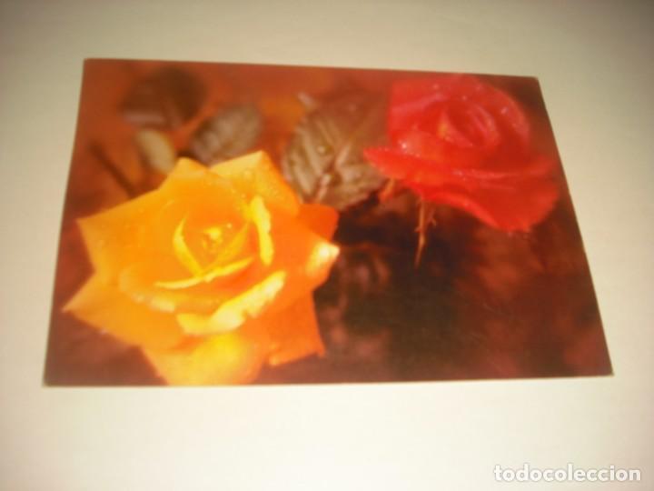 Cartes Postales: BONITA POSTAL DE 2 ROSAS. PERLA 401, SIN CIRCULAR