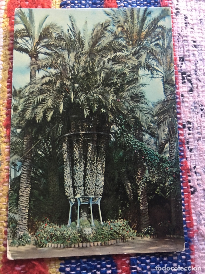 Postales: Postal palmeral elche - Foto 1