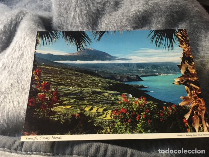 Postales: postal Tenerife - Foto 1