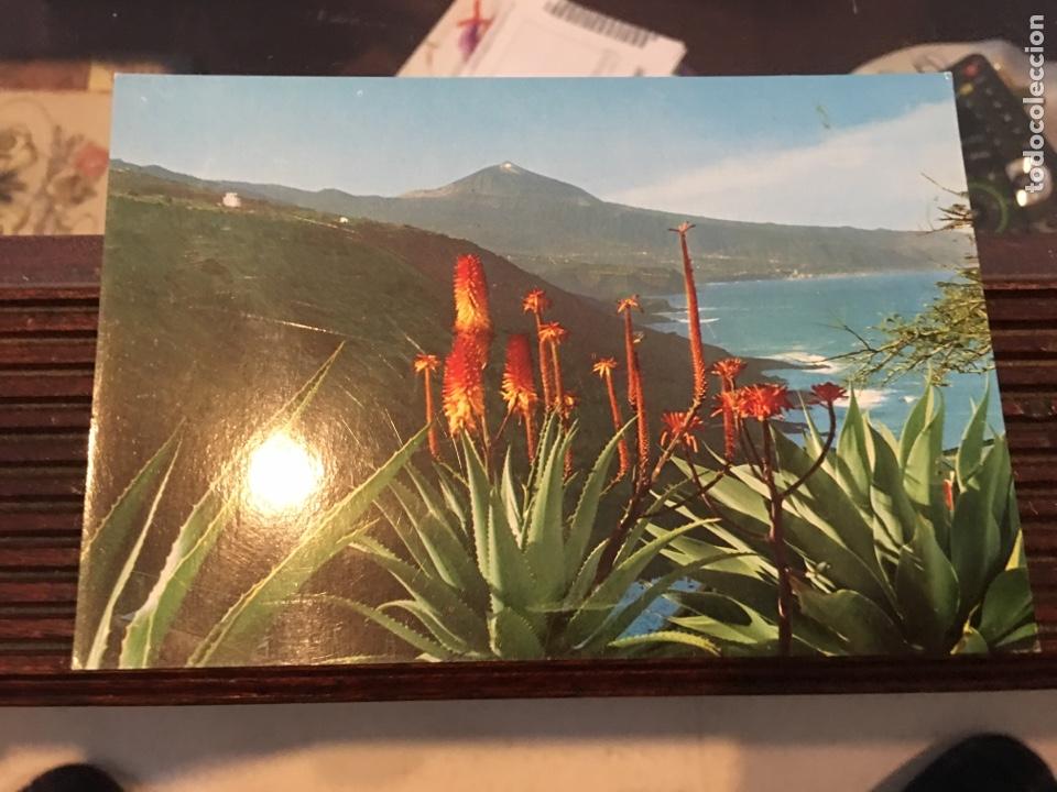 Postales: Tenerife flores y Teide - Foto 1