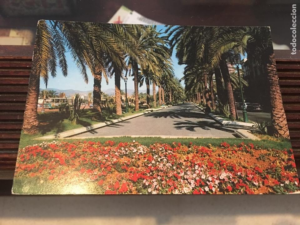 Postales: Palma de Mallorca paseo de sagrera - Foto 1