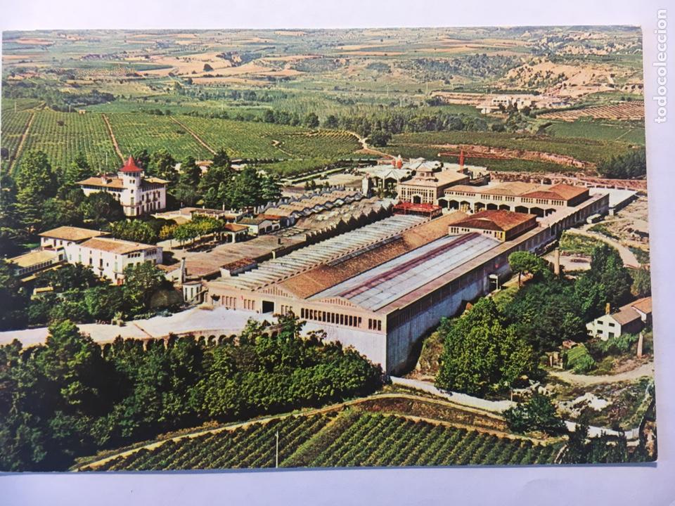 Postales: LOTE POSTALES ANTIGUAS CAVAS CODORNIU - Foto 5