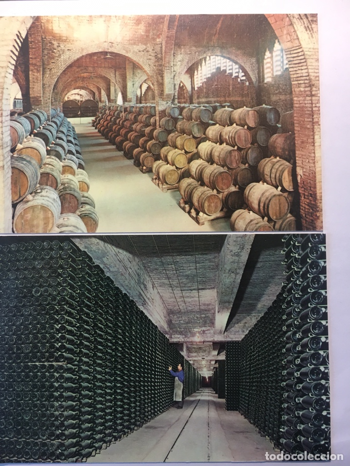 Postales: LOTE POSTALES ANTIGUAS CAVAS CODORNIU - Foto 2
