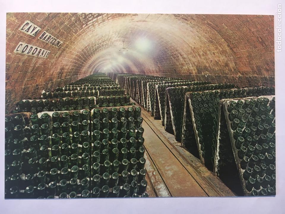 Postales: LOTE POSTALES ANTIGUAS CAVAS CODORNIU - Foto 1