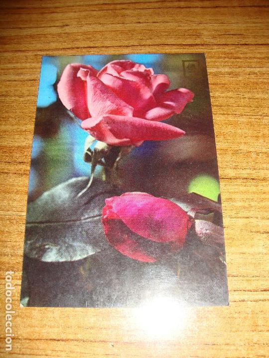 (ALB-TC-51) POSTAL TEMA FLORES ROSAS SIN CIRCULAR