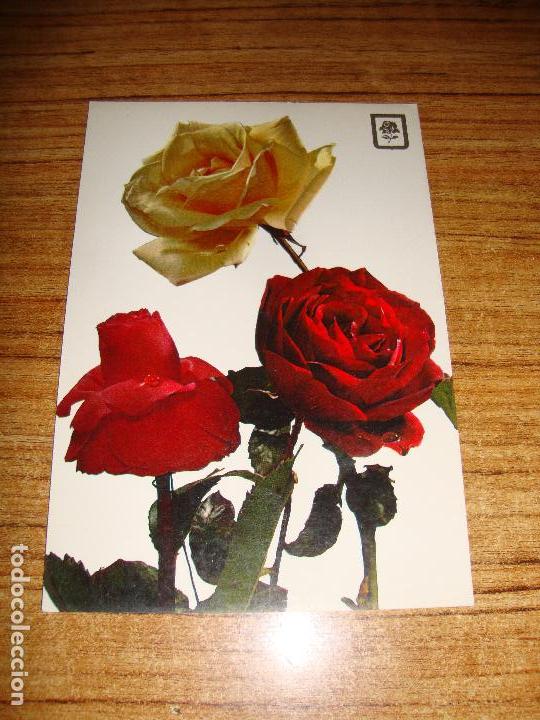 (ALB-TC-51) POSTAL TEMA FLORES ROSAS SIN CIRCULAR