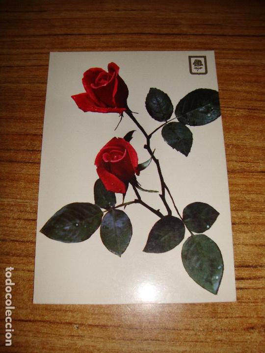 (ALB-TC-51) POSTAL TEMA FLORES ROSAS SIN CIRCULAR