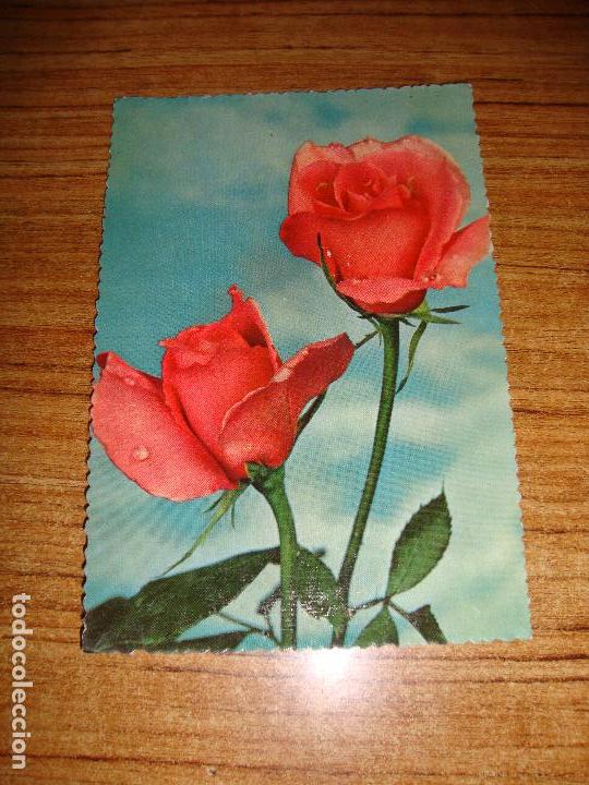 Postais: (ALB-TC-51) POSTAL TEMA FLORES ROSAS SIN CIRCULAR