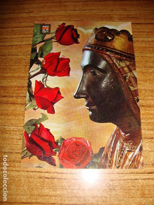 Postais: (ALB-TC-51) POSTAL TEMA FLORES ROSAS SIN CIRCULAR