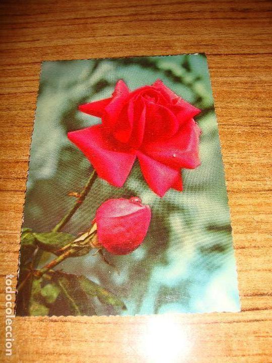 Cartoline: (ALB-TC-51) POSTAL TEMA FLORES ROSAS SIN CIRCULAR ESCRITAS SIN SELLO