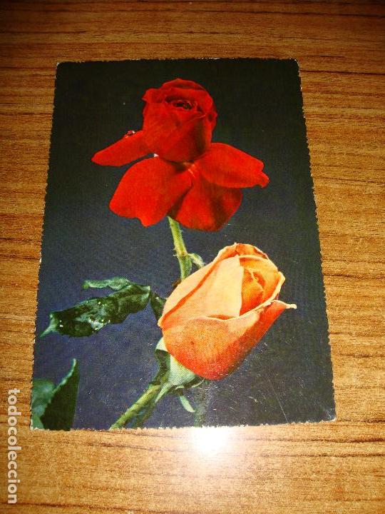 Cartoline: (ALB-TC-51) POSTAL TEMA FLORES ROSAS SIN CIRCULAR ESCRITAS SIN SELLO